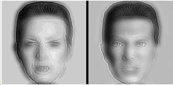 face11
