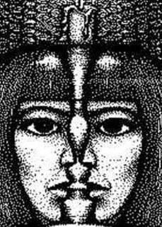 face13