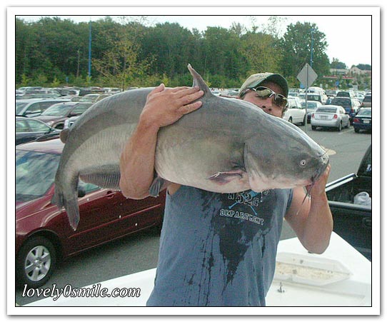 30_big_fish