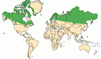 grenland